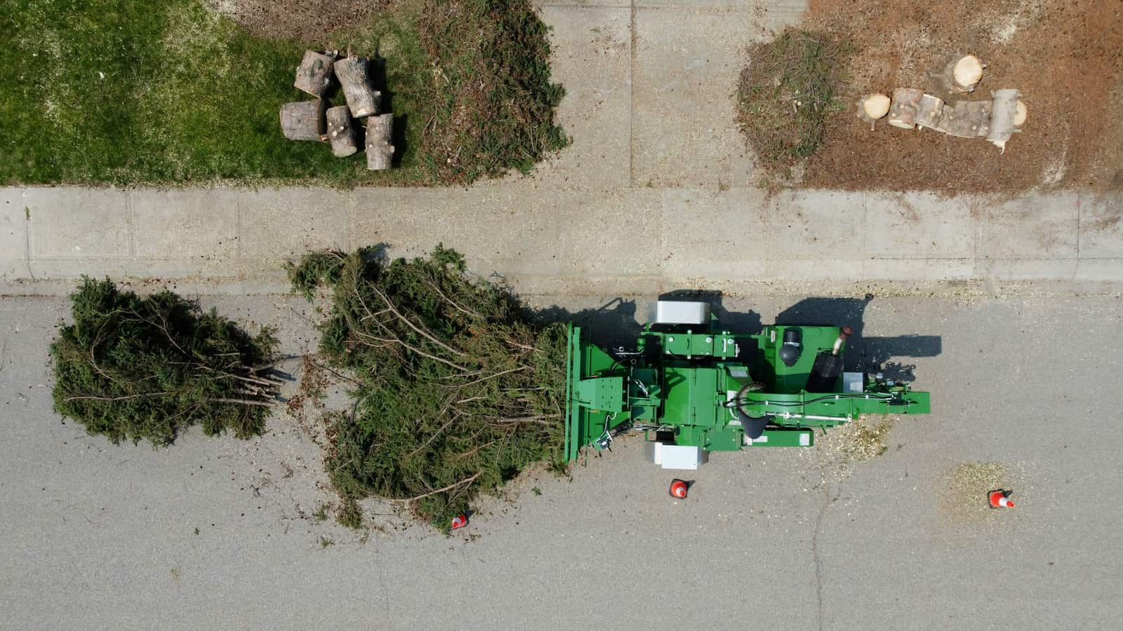 Charlotte tree service team on site