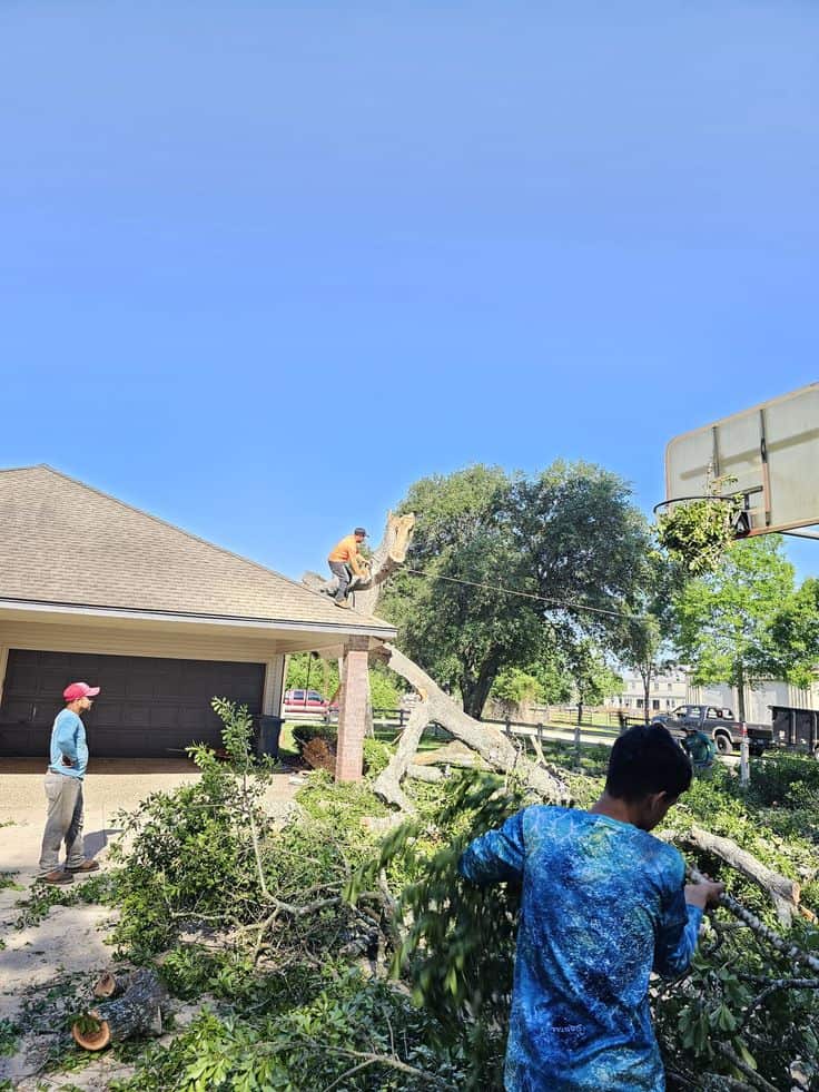 Charlotte Tree Service crew
